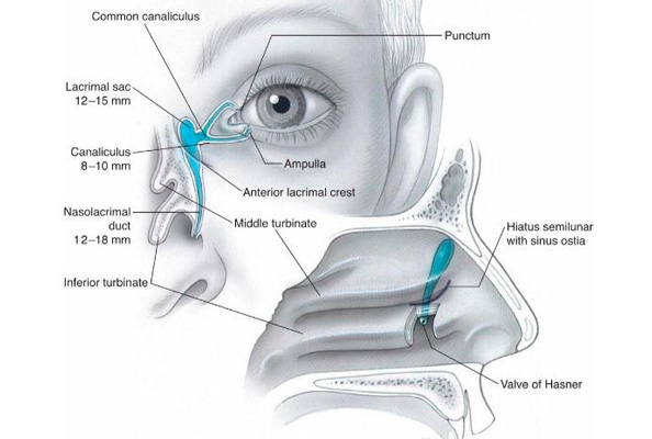 VIA-LACRIMAL